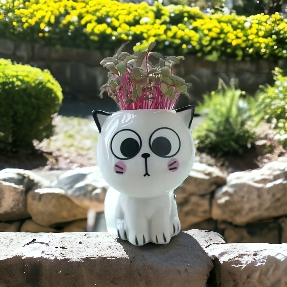 Last One. NEW! Adorable ceramic cat-shaped planter
